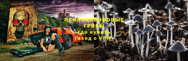 МДПВ Богданович